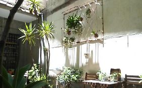 想起天井老宅民宿thinking Homestay